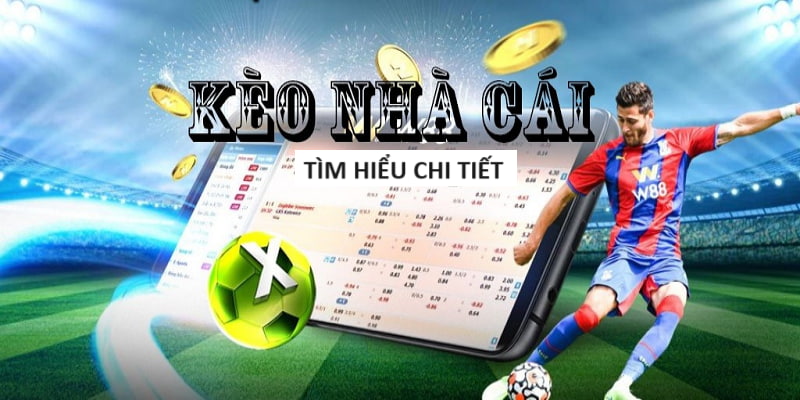 Nhà cái uy tín nhất Việt Nam gọi tên anh tài vnq8 Nhà cái uy tín nhất Việt Nam gọi tên anh tài vnq8